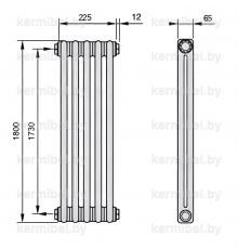 Трубчатый дизайн-радиатор производства ARBONIA (Германия), модель 2180, 5 секций, боковое подключение 12 (слева)/34 (справа)