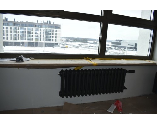 Трубчатый дизайн-радиатор производства ARBONIA (Германия) модель 3030/18/12 с боковой подводкой