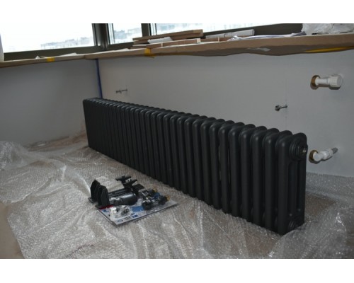 Трубчатый дизайн-радиатор производства ARBONIA (Германия) модель 3030/38/12 с боковой подводкой