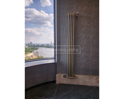 Трубчатый дизайн-радиатор производства ARBONIA (Германия), модель 2180, 4 секции, боковое подключение 12 (слева)/34 (справа)