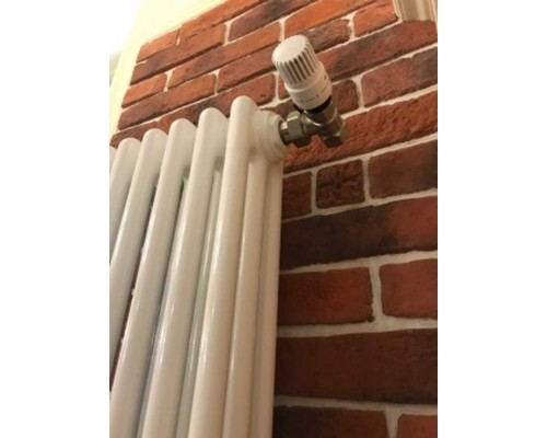 Трубчатый дизайн-радиатор производства ARBONIA (Германия), модель 3180, 12 секций, боковое подключение 12 (слева)/34 (справа)