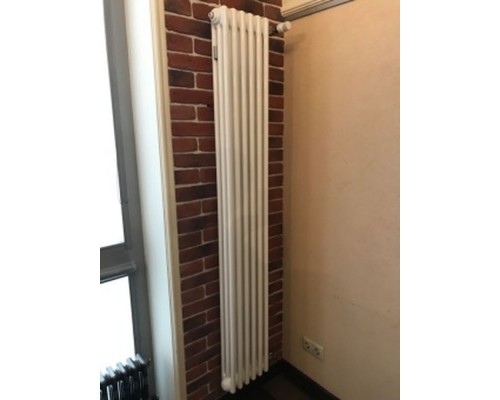 Трубчатый дизайн-радиатор производства ARBONIA (Германия), модель 3180, 6 секций, боковое подключение 12 (слева)/34 (справа)