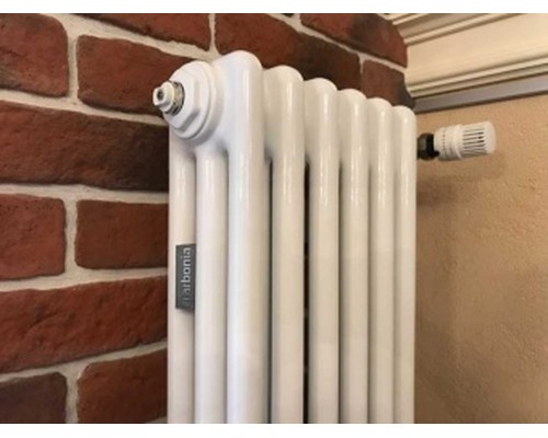 Трубчатый дизайн-радиатор производства ARBONIA (Германия), модель 3180, 6 секций, боковое подключение 12 (слева)/34 (справа)