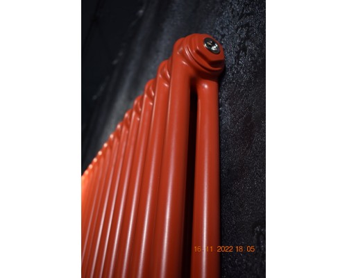 Трубчатый дизайн-радиатор производства ARBONIA (Германия) модель 2180/12/69 с нижней подводкой