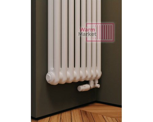 Трубчатый дизайн-радиатор производства ARBONIA (Германия) модель 2180/8/69 с нижней подводкой