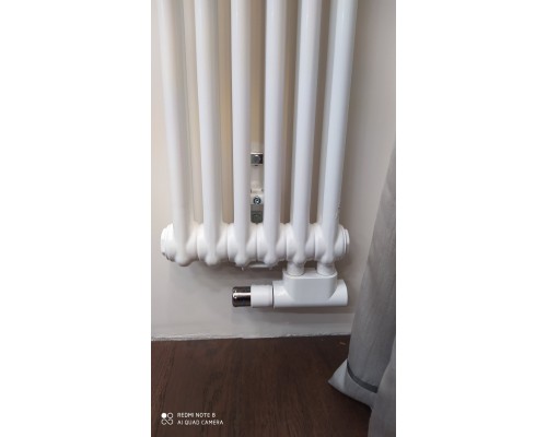 Трубчатый дизайн-радиатор производства ARBONIA (Германия), модель 2200, 6 секций, нижнее подключение 69 (слева)/89 (справа)