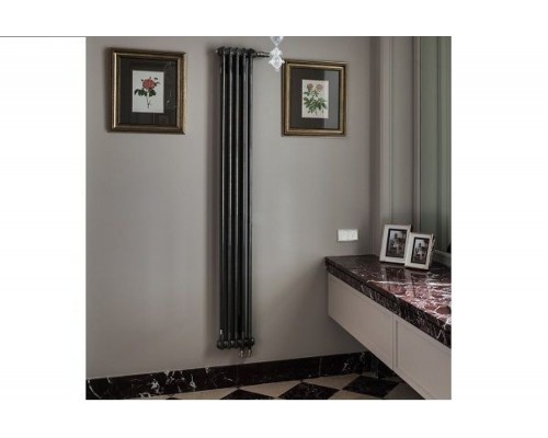 Трубчатый дизайн-радиатор производства ARBONIA (Германия) модель 2180/5/69 с нижней подводкой