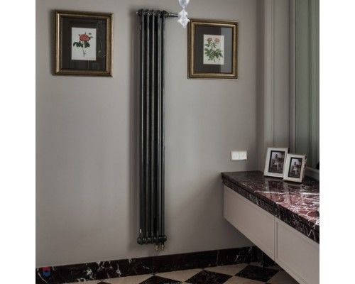 Трубчатый дизайн-радиатор производства ARBONIA (Германия) модель 2180/6/69 с нижней подводкой