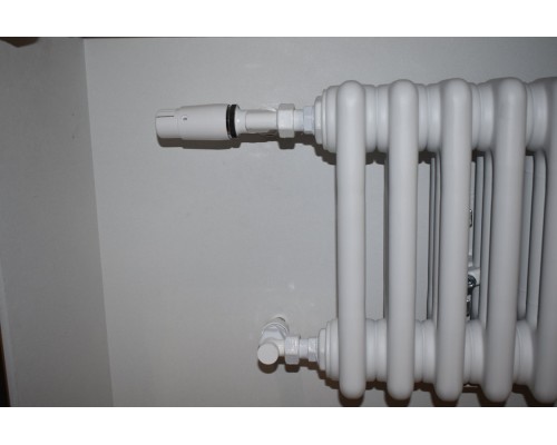 Трубчатый дизайн-радиатор производства ARBONIA (Германия) модель 2030/12/12 с боковой подводкой