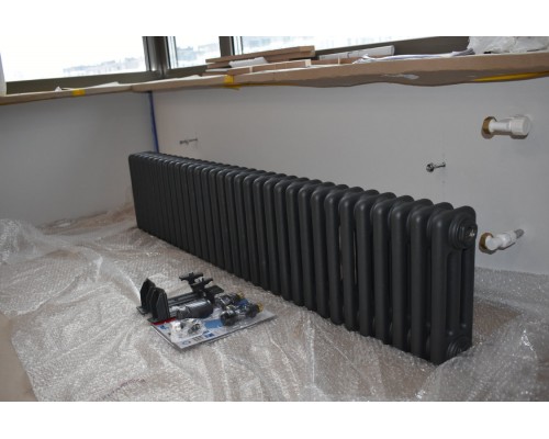 Трубчатый дизайн-радиатор производства ARBONIA (Германия) модель 3030/30/12 с боковой подводкой